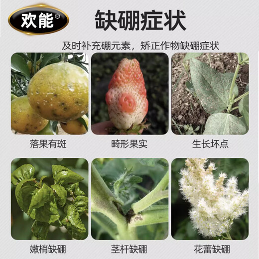 Huaneng granules boron trace element citrus fruit tree wheat vegetable base fertilizer granules slow-release boron fertilizer general fertilizer 1000g