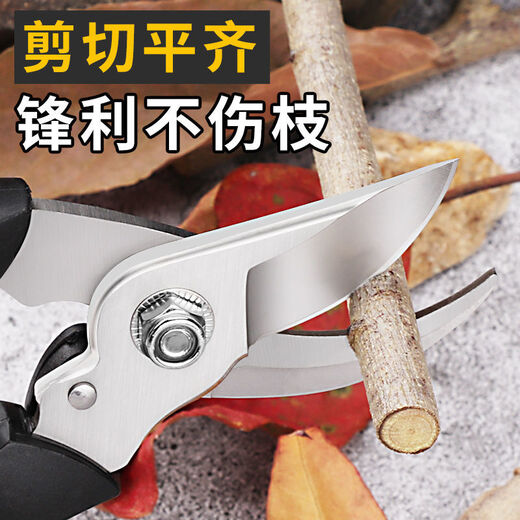 Flowers and scissors, sparse flowers, fruits and scissors, floral scissors, household flowering scissors, pruning scissors, gardening scissors, grapes, round style #T9853