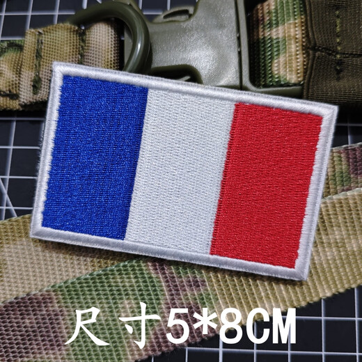 Tactical Mandrill GIGN French Gendarmerie Embroidered Velcro Badge RAID Black Panther Commando Armband Tactical Backpack Badge GIGN Round 8CM