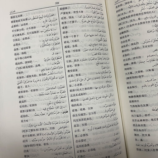 当当正版 阿拉伯语 阿拉伯语汉语词典（修订版）
