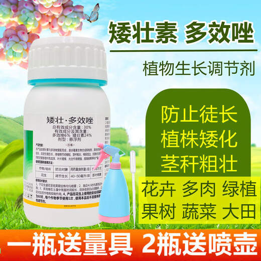 Shorty and multi-effect plant chlormequat shorty and strong agent universal control of flowers and trees, strawberry and wheat growth regulator 200g