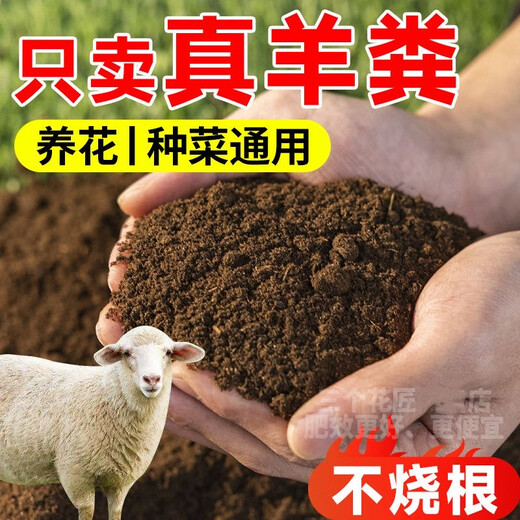40斤纯羊粪有机肥料种菜养花通用发酵鸡粪果园营养土 【39.9斤】不烧根无虫无臭味 【内蒙古发酵纯羊粪】活动剩99件