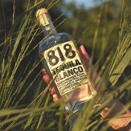 JiTu詹娜818金/银/陈酿龙舌兰酒TEQUILA肯达尔詹娜肯豆墨西哥进口洋酒 Reposado金龙舌兰 750mL