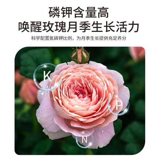 Manlife 50L Rose Nutrition Soil Free Fertilizer Medicine Imported Peat Soil Flower Soil Green Plant Flower Organic Planting Soil