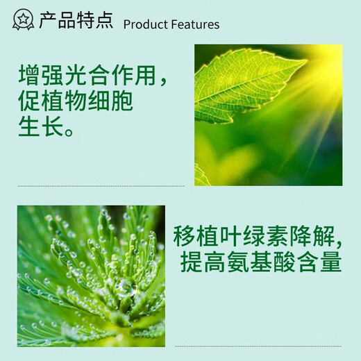 Guoguang Huasi benzylaminopurine cell division bursting bud bursting to extend the flowering period 25ml