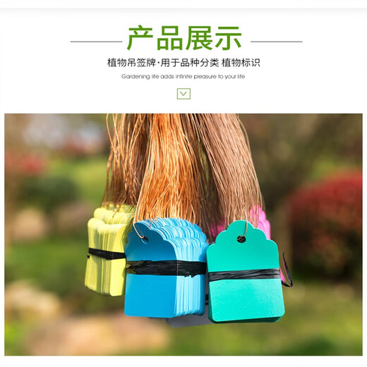 Shipton plastic experimental small tag green plant flower tag waterproof tag gardening seedling tag orchid plant tag 4*6 blue 100 sheets