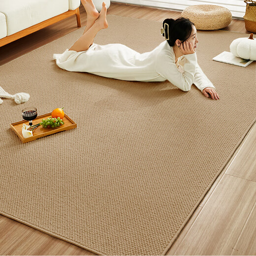 Yijian cat-scratch-proof Japanese-style carpet bedside blanket living room sofa bedroom room bedside bay window studio floor mat for photo taking camel 80*120cm