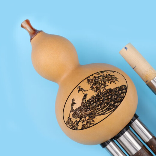 丝竹之音葫芦丝紫竹云南民族吹奏乐器成人儿童学生专业演奏葫芦丝防摔双管 G调+F调