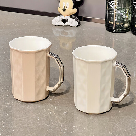 Xibaisheng light luxury water cup set household heat-resistant teapot ceramic cup with handle for family living room entertaining high-end tea set set of 2 ceramic cups 1225 ordinary packaging