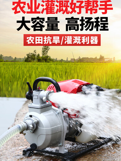 YAY imported Yamaha gasoline pump water pump irrigation agricultural small self-priming pump high lift large flow watering machine 160 four-stroke 1 inch + send 4 meters in + 50 meters out