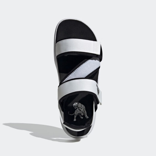 Adidas men's shoes New summer TERREX sandals breathable beach shoes sports and walking casual shoes FW4867 FW4867/Velcro 42