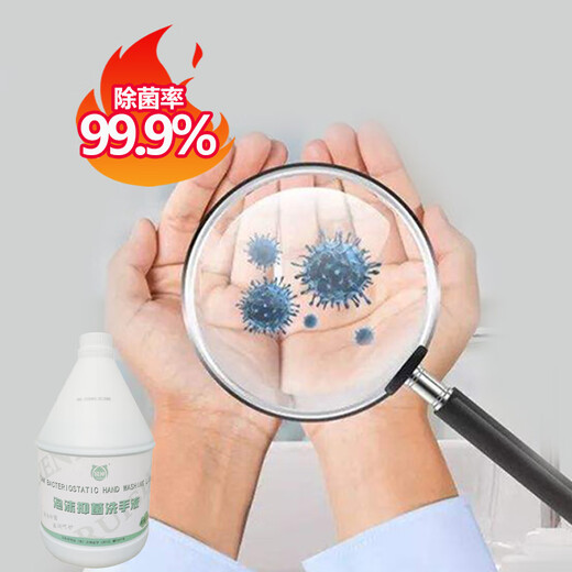 Ruishen Antibacterial Foam Hand Sanitizer 3.5kg Disinfection Grade Food Industry Family Hotel Workshop Restaurant Light Fragrance Refill