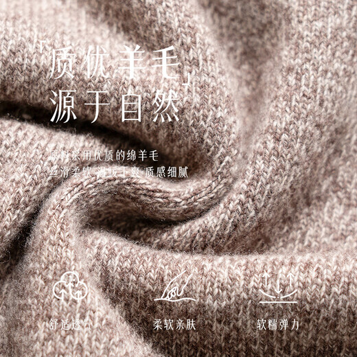 春竹羊毛衫男士圆领春季100%纯羊毛保暖针织毛衣中青年羊毛衫 浅咖啡 L （110CM）