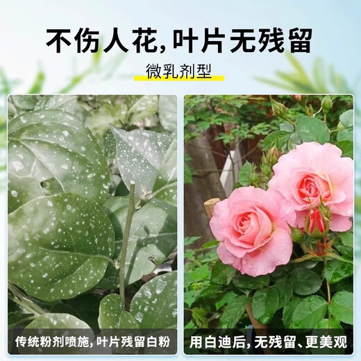 Guoguang Jingmu 30% Hexaconazole Alcohol Pesticide Fungicide for Vegetables, Flowers, Seedlings, Fruit Trees Powdery Mildew 100ml