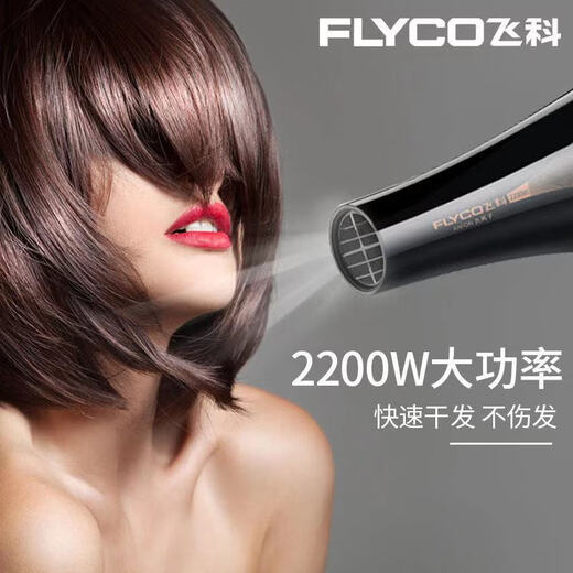 Feike Hair Dryer High Power 3000W ménage négatif négatif électrique Salon de coiffure pour hommes spécial 2000w Ion High Power FH6231 Installation ordinaire