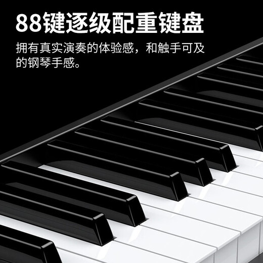 Kawaii Electric Piano 88 Key Heavy Hammer Professional Piano Digital Inteligente K01 Home Electric Steel K01 Versión vertical Versión de martillo pesado negro negro
