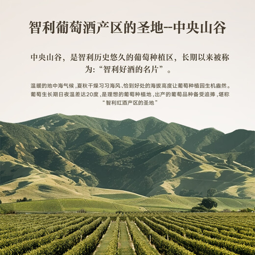 智象美露干红葡萄酒750ml*6整箱装 智利进口红酒 送礼礼盒装