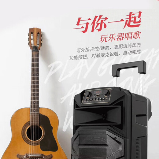 TEMEISHENG SL12-31Pro outdoor square dance karaoke audio high-power portable trolley Bluetooth mobile speaker 10-inch standard + 2 wireless microphones + gift bag (gift)