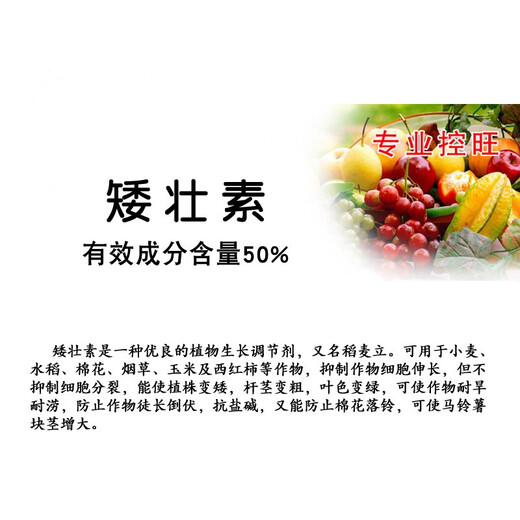 Guoguang 50% chlormequat, suppresses spirit, prevents crazy growth, prevents leggy vegetables, fruit trees, wheat plant growth regulator 500ml 0.1