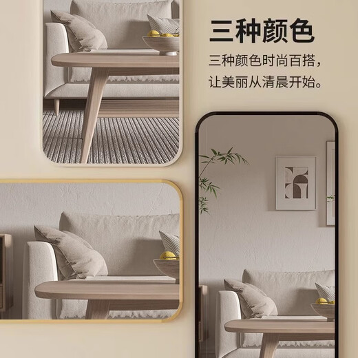 飞旺藤达全身落地镜子壁挂贴墙卧室玄关穿衣镜化妆镜铝合金简约北欧大镜子 经典黑40*150【摆挂两用】 高清成像 合金边框