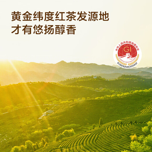 京东京造 正山小种红茶80g罐装武夷山原产高山生态茶园花香茶叶父亲节送礼