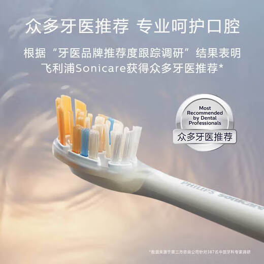 飞利浦（PHILIPS）电动牙刷头HX9093适配HX9996/9924/9954/9903/9901/9997HX9系 6支 多效合一标准型HX9093/96黑色