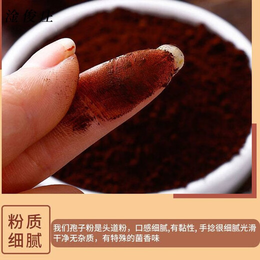 Ganjunzhuang authentic Ganoderma spore powder Changbaishan self-produced and self-sold robe powder Northeast specialty spore powder 1 bottle 250g Changbaishantou Dao powder