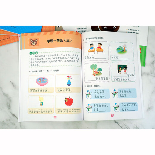 【京仓速发 明日达】幼小衔接冲刺练习-语文297875493**834