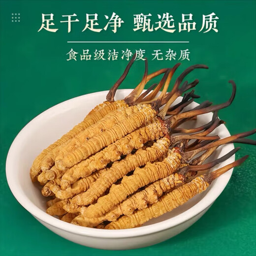 雄风道正宗冬虫夏草虫草头期藏区雪域冬虫夏草过节送礼礼盒装 3根/克 20克装