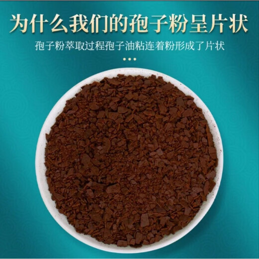 金芝红有机灵芝孢子粉 长白山赤灵芝3g*84袋礼盒 250克*2瓶+灵芝一朵+礼盒