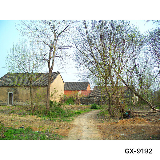 尤克达帝直播背景布3d立体 高清 农村风景直播背景布3d立体直播背景 GX-9196加厚无纺布宽2.2*高1.8M