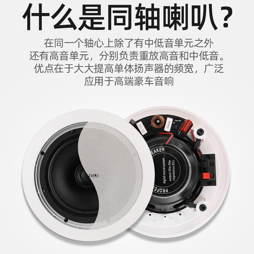 
Shanshui (SANSUI) T2 ceiling speaker 5.1 home theater audio set Background music living room ceiling speaker speaker amplifier home T2 [smart music host + 8 6.5-inch speakers]