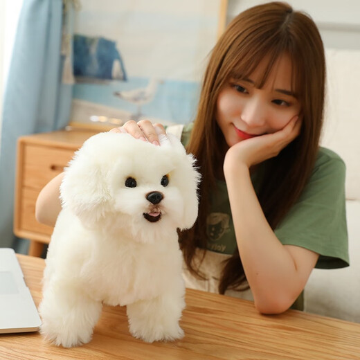 Yilefang Plüsch Spielzeughund Bichon Hund Rag Puppe süße Hund Puppe Mädchen Ornament Dekoration Ragdoll Hund aus weißer Länge 35 cm, Höhe 28 cm