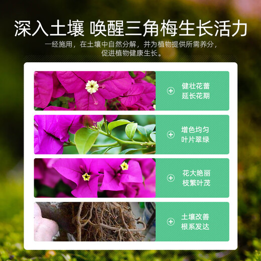 Lupan Bougainvillea special flower-stimulating fertilizer nitrogen, phosphorus and potassium ternary compound fertilizer for household potted flowers to bloom quickly