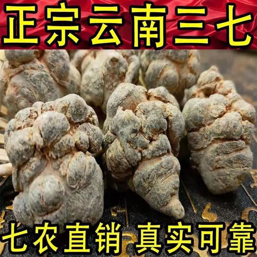 Jingqingyuan, Yunnan Wenshan Chun Sanqi Selection, Sanqi -Kopf, extra klassische authentische Tianqi, Frühling 20 Köpfe, 30 Köpfe, 10 Köpfe [14 Köpfe, 500 g] Sanqi Wang, keine Schnitte, glatte Haare, Haare (bitte hinterlassen