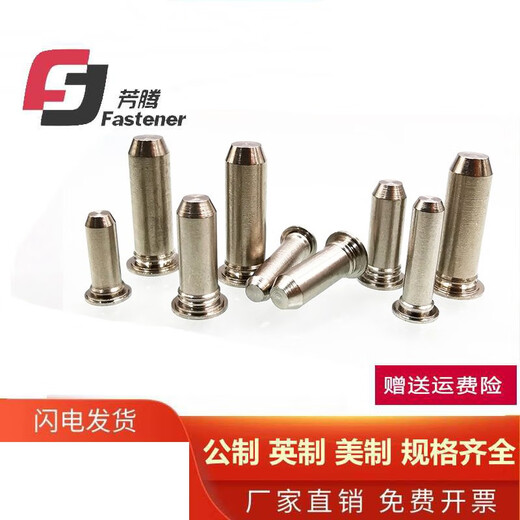Fangteng stainless steel TPS guide pin 2.53456 positioning pin pressure riveting pin cylindrical pin pressure riveting pin 10 pieces TPS-M3*16