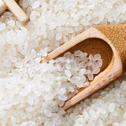 Yimi Sunshine New Rice Northeast Long Grain Fragrance 10Jin Jin is equal to 0.5kg Rice Vacuum Packaging Panjin Crabfield Rice 5kg Raw Grain 5kg Crabfield Rice 1kg*5 pieces