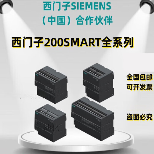 Siemens PLC S7-200SMART CPU module CR20S CR SR ST 20 30 40 6ES728 6ES7288-1CR60-0AA1 cannot be used without network port