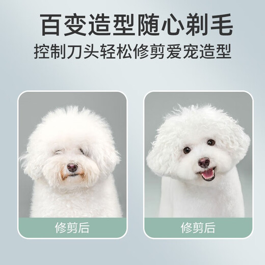 Ferret Fragrance Pet Electric Clipper Dog and Cat Shaver Rechargeable Hair Clipper Shaving Foot Shaving Cutter Beauty Styling Pet Supplies Taro Purple Pet Electric Clipper Single Machine + 9mm Blade