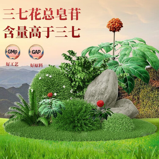 Yunnan Fresh Panax Notoginseng Oral Flüssigkeit authentisch Yunnan Wenshan Qidan Panax Notoginseng Yunnan Frisch Panax Notoging Ganzpflanzen Essence Panax Notoginseng Oral Flüssigkeit [1 Box 10 Teile] Flat