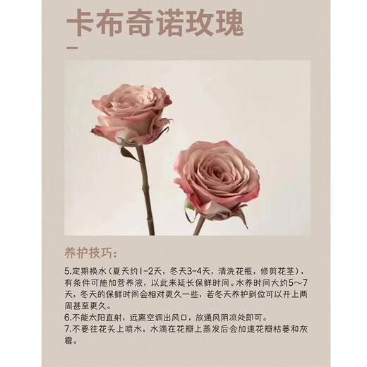 Flower love cappuccino rose bouquet delivered in the same city for friends, besties, wives and girlfriends birthday confession gifts. Gentle to you. Cappuccino chocolate bubble bouquet. Delivered in the same city. Support appointment date.