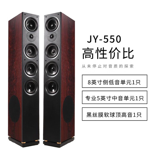 丹麦之笙（DMSEINC）2.0声道家庭影院落地音箱 客厅环绕音响电视音响 HIFI三分频无源音响 木质前置音箱搭配功放组合 JY-550主箱+A-999功放