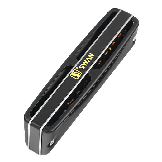 天鹅（SWAN）10孔布鲁斯口琴内嵌式磨砂黑质感盖板初学进阶paddy音