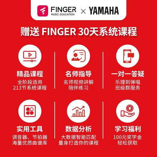 雅马哈FG5/FG3/FGX3/FGX5/FS5/FS3红标雅马哈全单民谣吉他电箱专业吉它 FG5原声款-全单41英寸【日产】