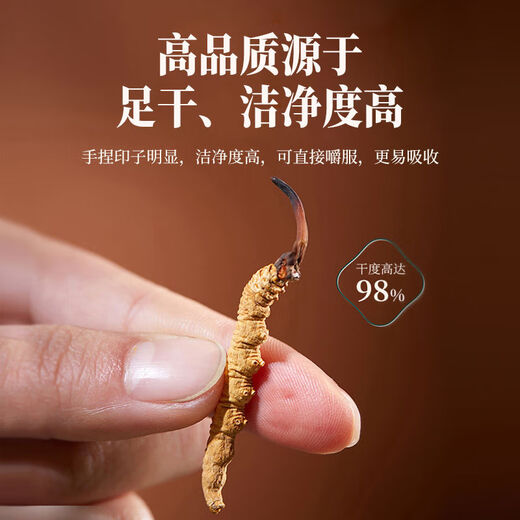 Fresco Cordyceps sinensis 2025 Primer período Cordyceps Auténtico Líder Regalo Authentic Cordyceps Festival 4 1 Gramo 30 Cordyceps secos sinensis Cordyceps Sinensis SF Express Entrega
