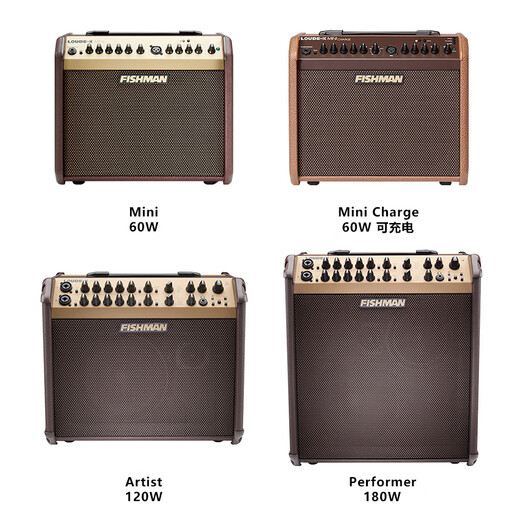 FISHMAN Fisherman Singing Speaker Loudbox Acoustic Guitar Outdoor Singing Roadshow Electric Blowpipe Live Acoustic Instrument Speaker 60w (mini) Official Standard