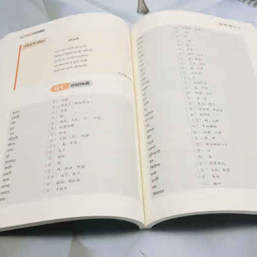 Tutorial de pronunciación hindi (con audio) compilado por Di Yifang, Vocales y consonantes hindi, Vocales y consonantes extranjeras, símbolos fonéticos, autoestudio de pronunciación y escritura en hindi, libro de texto profesional universitario en hindi, World Book Publishing Company