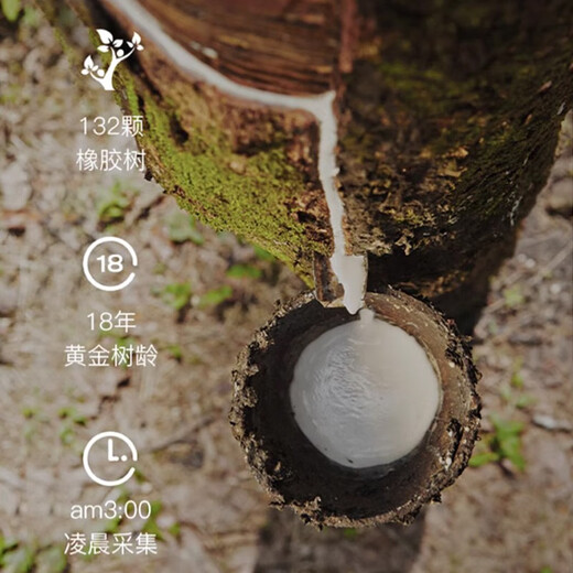 宜族（YIZU）席梦思20cm厚独立弹簧床垫1.5x2米软硬两用出租家用乳胶椰棕护脊 23cm兰花独簧+乳胶+棕|软硬两用 1350*1900