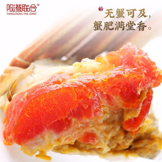 【礼券】阳澄联合大闸蟹礼券螃蟹券蟹卡礼盒礼品卡节日送礼提货券 9855型公6.0两 母5.0两 5对10只