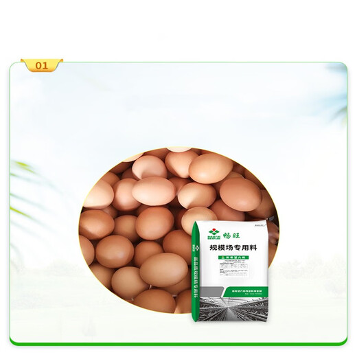 Nanbo Pill New Hope Liuhe Feed Feed 5 Laying Hen Premix Scale Field Direct Supply 10 Packs Starting Price 10 Packs Starting Price Laying Period CW2050